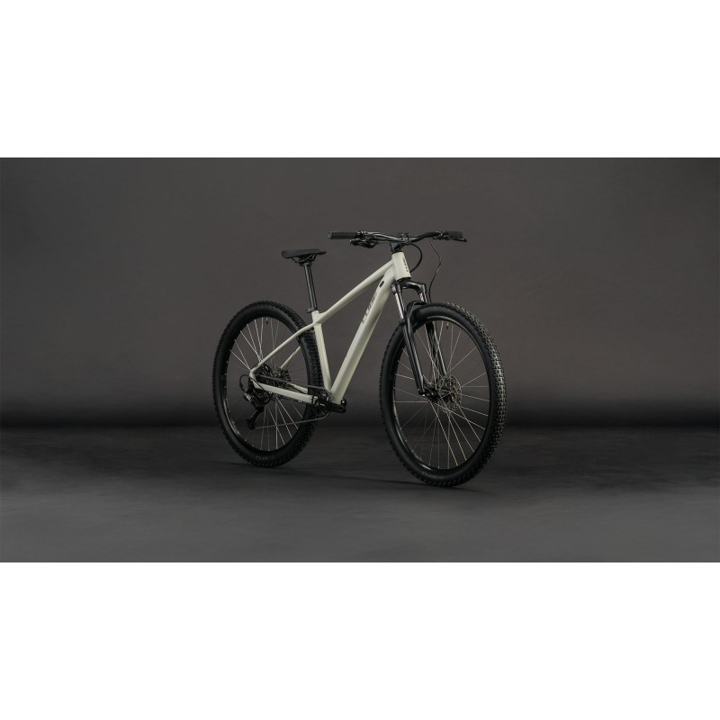 CUBE AIM PRO 29''greige´n´titan LARGE