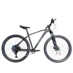 Energy Enigma Race 29