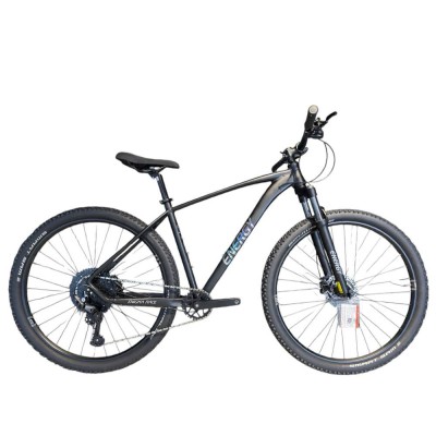 Energy Enigma Race 29