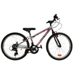 Energy Thunder 26" - Gray Black (21 Speed)