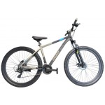 Energy Enigma 29" Disc 2026 - Black "n" Grey Matt