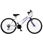ORIENT COMFORT 24'' GIRL 21sp
