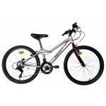 Energy Thunder 24" Grey Glossy Black - 21 Speed