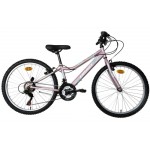 Energy Thunder 24" Pink Matt - 21 speed