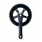 Δισκοβραχίονες